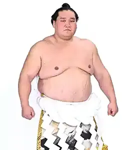 照ノ富士の軌跡と波乱の親方転身、その真実とは？ (関連: スポーツ, 相撲)