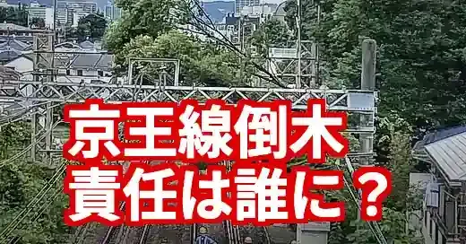 京王線倒木、所有者は誰？ウチの木は大丈夫？法的責任と対策を徹底解説 (関連: 交通, 災害, 政治, 京王線, 倒木)