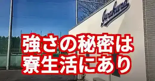 岩倉高校野球部寮を徹底解剖！夢追う球児の生活と入寮条件 (関連: スポーツ, 教育, 岩倉高校, 野球部, 寮)