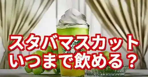 【スタバ マスカットはいつまで？】完売前に飲むべき理由と神カスタム (関連: グルメ, イベント, スタバ, マスカット, フラペチーノ)