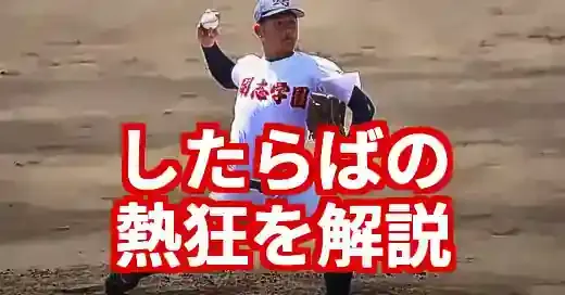 新潟県高校野球したらばの教科書！熱狂と情報を120%活用術 (関連: スポーツ, イベント, 新潟県高校野球, したらば, 高校野球)