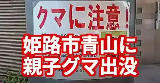 【速報】姫路市青山に熊！星の子館近くの目撃情報と詳細な対策
