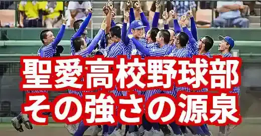 聖愛高校野球部出身中学一覧2025！甲子園メンバーと