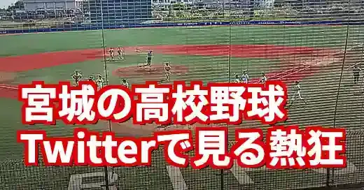 【高校野球 宮城 ツイッター】仙台育英の優勝で沸くSNS！ファンの声で楽しむ夏 (関連: スポーツ, 高校野球, 宮城, 仙台育英, 東北学院榴ケ岡)
