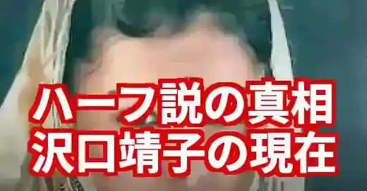 沢口靖子ハーフ説の真相は？純日本人としてのルーツと今後の挑戦 (関連: 芸能, ハーフ, 女優)