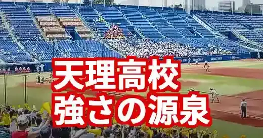 【2025最新】天理高校野球部出身中学一覧！強さの源泉と歴代OBの原点