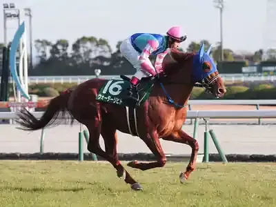 荒れる安田記念2025!🏆勝負の最終予想と高配当狙い、激アツ出走馬はコレだ!