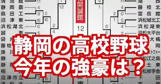 2025年静岡の高校野球強豪校！公立vs私立の勢力図を解説 (関連: スポーツ, 高校野球, 静岡, 強豪, 甲子園)