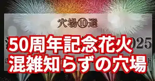 【2025年版】江戸川区花火大会の穴場10選！混雑回避の裏ワザ (関連: イベント, ライフスタイル, 江戸川区花火大会, 花火大会, 夏休み)