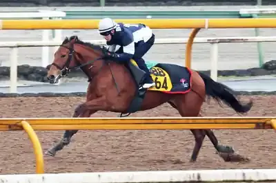 セキトバイースト衝撃V！2025年牝馬戦線は激変か？のメイン画像 (関連: スポーツ, 競馬, セキトバイースト, 府中牝馬S, 中山牝馬S)