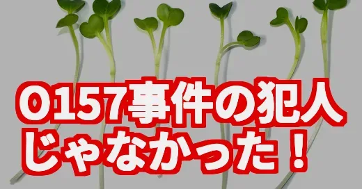 【衝撃】かいわれ大根の日、O157冤罪事件の真実と驚きの栄養価