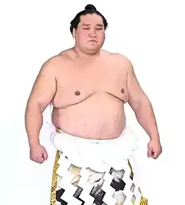 照ノ富士の軌跡と波乱の親方転身、その真実とは？