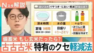 古古古米の価格5キロ約1800円はは適正か？徹底解説！