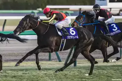 クロワデュノールが掴んだ栄光！日本ダービー制覇の秘話と次なる挑戦