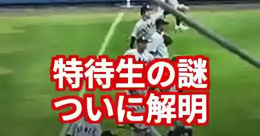 【謎多き】叡明高校野球部特待生の全貌！甲子園目前の強さの秘密 (関連: スポーツ, 高校野球, 叡明高校, 叡明高校野球部特待生, 埼玉大会)