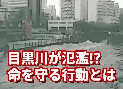 【緊急】目黒川が氾濫したらどうなる？最新情報と命を守る行動