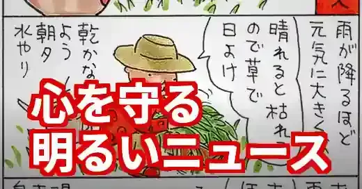 もう暗いニュースは見ない！2025年を照らす明るい話題と心の守り方 (関連: ライフスタイル, ニュース, エンタメ, スポーツ, 経済)
