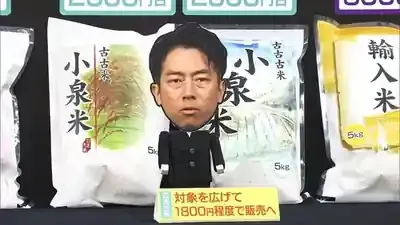 古古古米 小泉農相の備蓄米放出で賛否！2000円米の真実とは？