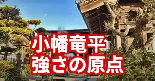 小幡竜平の実家は大分！野球一家の熱い絆とルーツを深掘り (関連: スポーツ, 小幡竜平, 実家, 阪神タイガース, 大分)