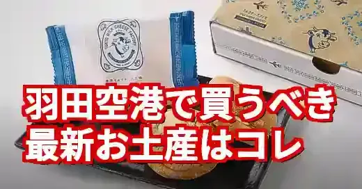 【2025年最新】羽田空港のお土産決定版！限定品から賢い買い方まで (関連: グルメ, イベント, 羽田空港, お土産, 限定)