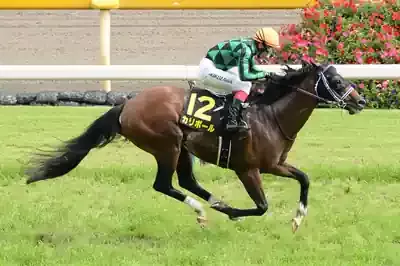 9歳馬カリボール、奇跡の大激走！パラダイスS制覇の衝撃と次なる伝説のメイン画像 (関連: 競馬, カリボール, スポーツ, 大和屋暁, ジャスタウェイ)