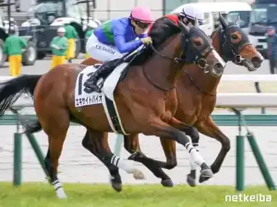 エキサイトバイオ重賞初制覇！激動オッズの真相と秋の期待のメイン画像 (関連: スポーツ, エンタメ, エキサイトバイオ, 競馬, ラジオNIKKEI賞)