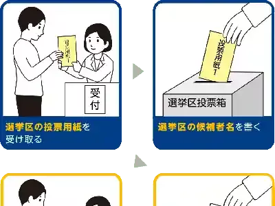 参議院選挙って難しくない？2025年版！投票方法と仕組みを徹底解説のメイン画像 (関連: 政治, 参議院選挙, 投票方法, 比例代表制, 特定枠)