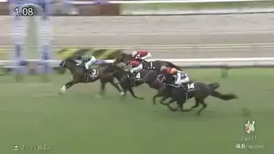 なぜ愛される？なんJ競馬のミーム馬「カリボール」にそそり立つ魅力！のメイン画像 (関連: 競馬, ミーム, ネット文化, なんJ, カリボール)