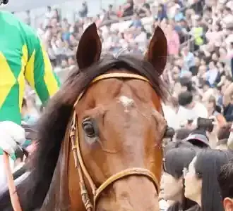 サトノレーヴ、英国で**歴史的2着**！🎌世界への挑戦と未来のメイン画像 (関連: エンタメ, スポーツ, 競馬, 競走馬, サトノレーヴ)