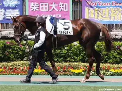 セキトバイースト覚醒！赤兎馬の魂宿る牝馬、重賞初制覇の全貌のメイン画像 (関連: スポーツ, 競馬, セキトバイースト, 競走馬, 府中牝馬S)