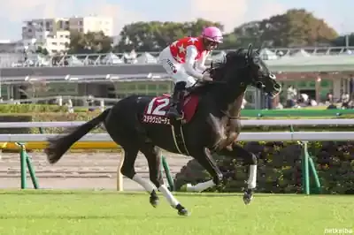驚異のヴェローチェエラ！競馬界の未来を担う名馬たちの軌跡のメイン画像 (関連: スポーツ, 競馬, ヴェローチェエラ, ステラヴェローチェ, ヴェローナシチー)