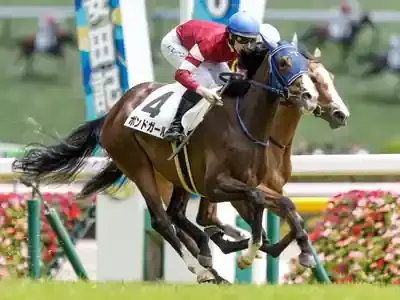 【訃報】ミリアッドラヴ安らかに。注目競走馬の感動秘話と未来へ繋ぐ絆のメイン画像 (関連: スポーツ, 競馬, 競走馬, ミリアッドラヴ, プラダリア)