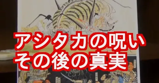 アシタカの呪いはその後どうなった？消えないアザとサンとの未来
