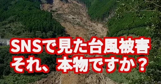 「車が宙を舞う…」台風15号の衝撃と、命を守るデマの見分け方